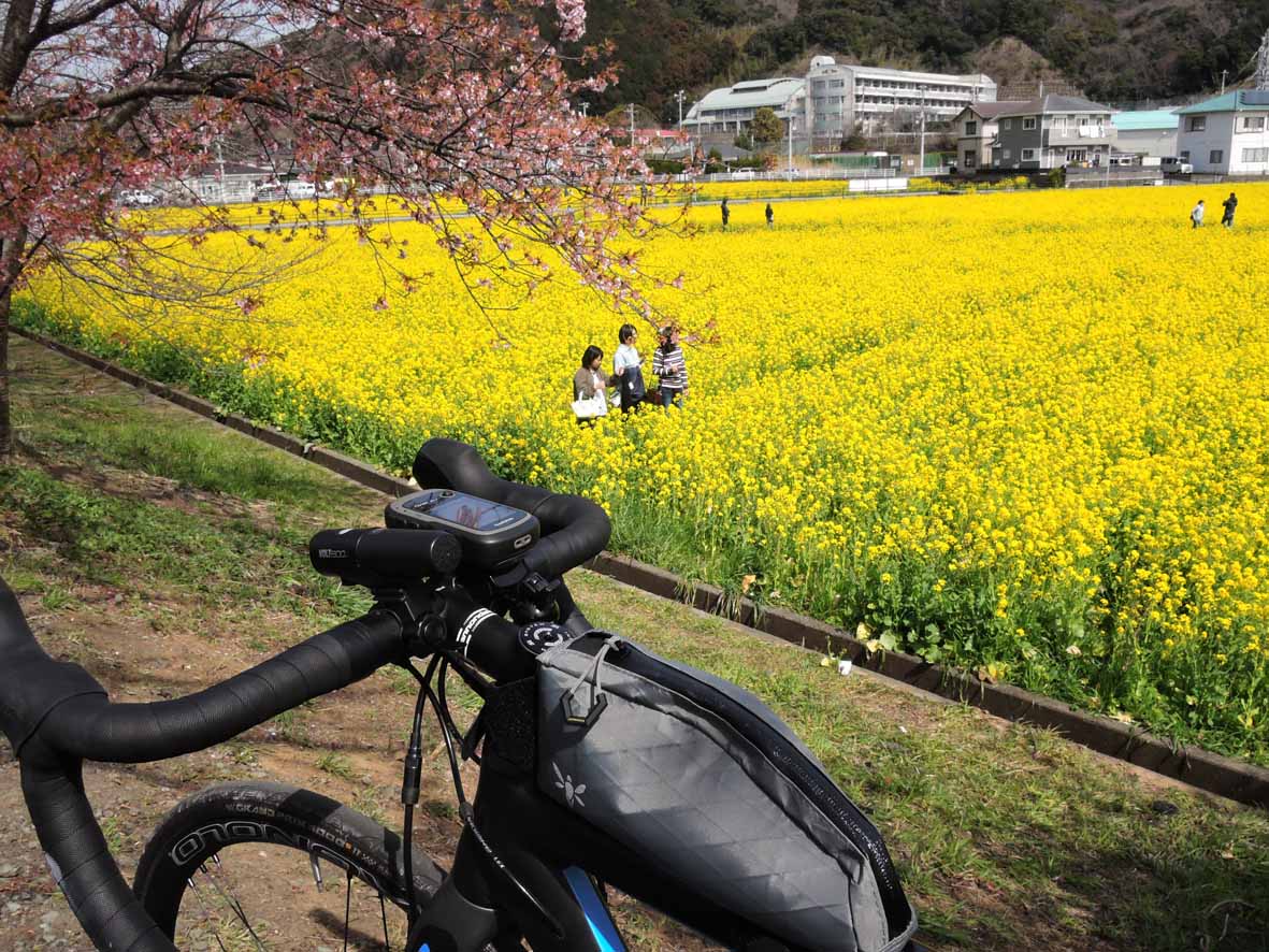 伊豆サイクリング_d0211129_1844217.jpg