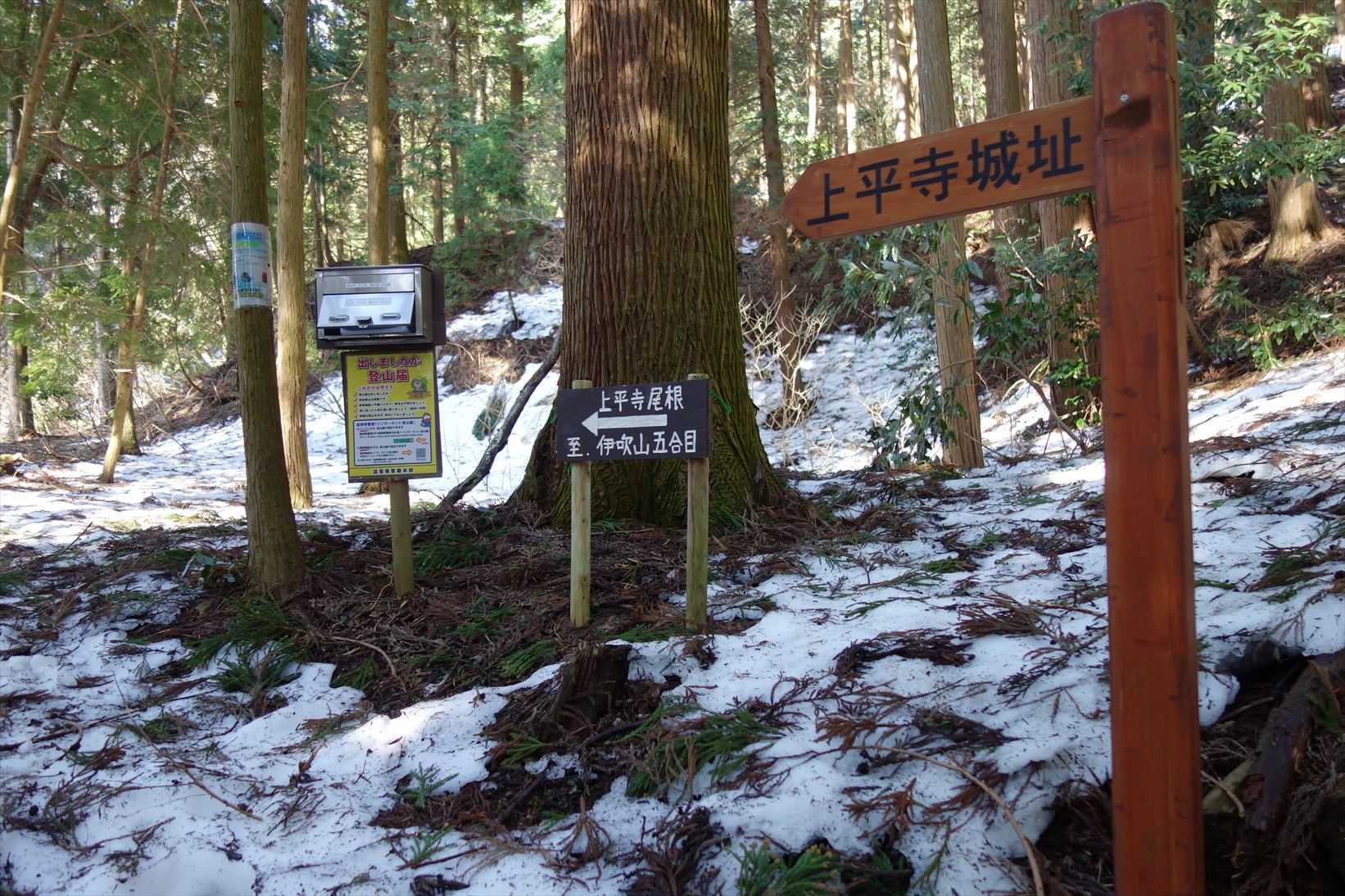f0348933_03431787.jpg