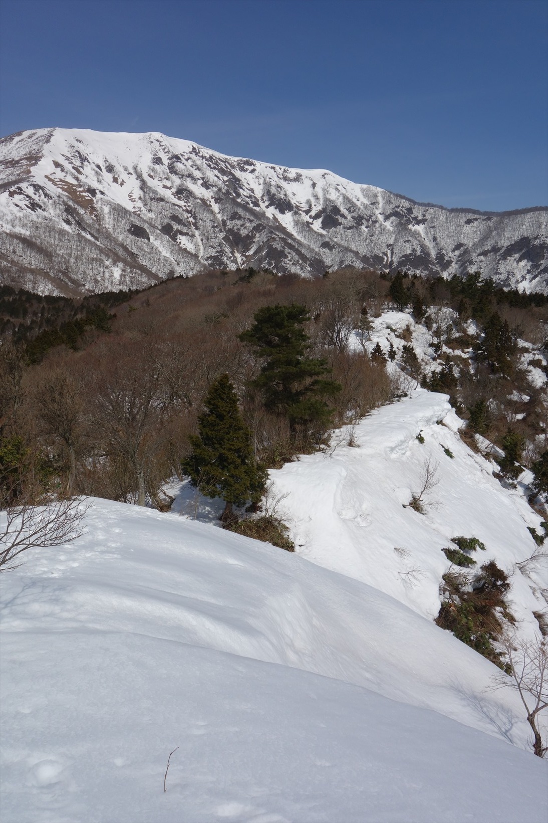 f0348933_03524610.jpg