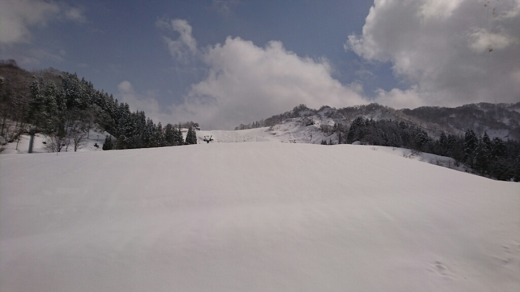 d0013739_17135046.jpg