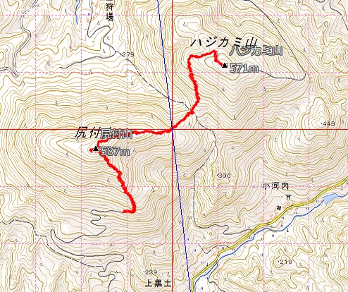 e0164643_2248194.jpg