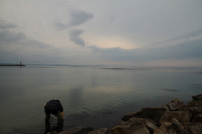 c0155950_20361833.jpg