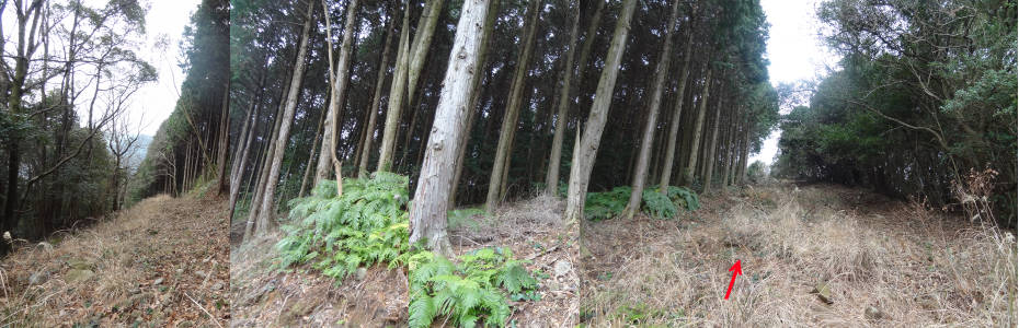 e0033751_1831041.jpg