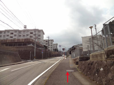 e0033751_183288.jpg