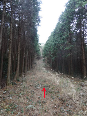 e0033751_183667.jpg