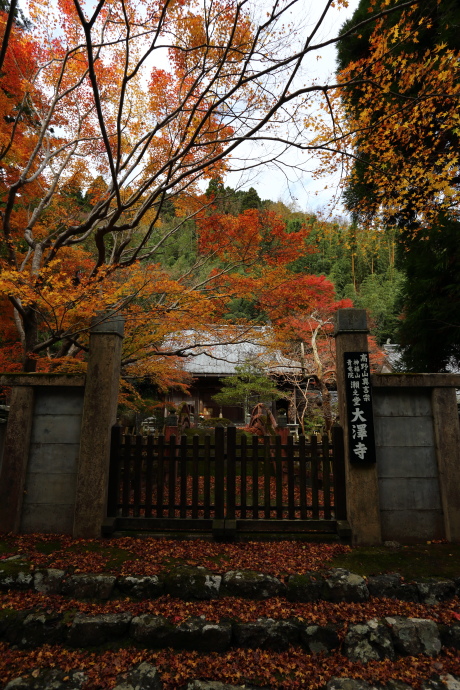 大澤寺 紅葉 2016_a0176855_2037341.jpg