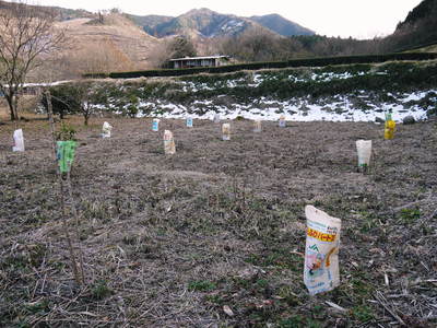 株式会社旬援隊の様子 春が来たと思ったのに冬に逆戻り!思わぬ雪に凍えてます!_a0254656_1852920.jpg