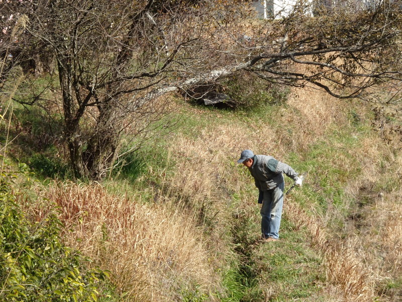 c0108460_20321339.jpg