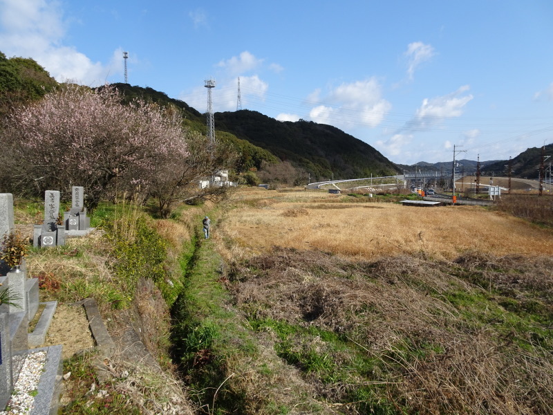 c0108460_20325672.jpg