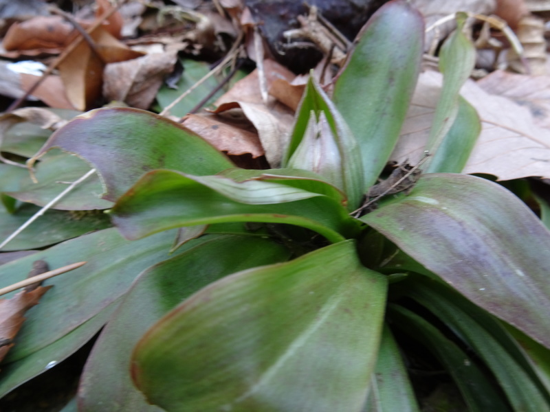 c0108460_20372920.jpg