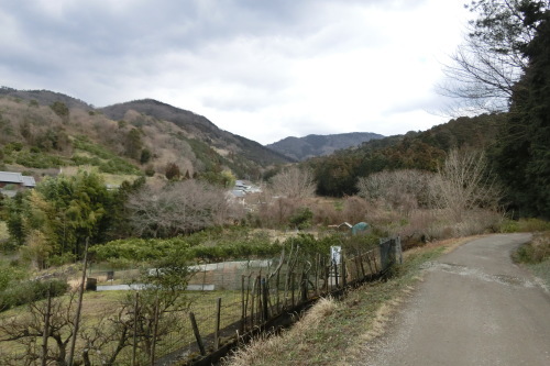 山の辺の道　ＭＴＢでサイクリング_b0332867_21570142.jpg