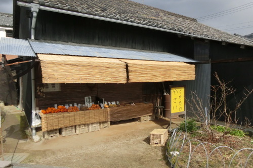 山の辺の道　ＭＴＢでサイクリング_b0332867_21593760.jpg