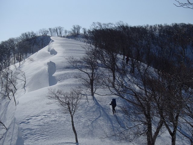 a0344771_14544176.jpg