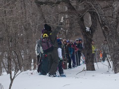 c0146483_16171562.jpg
