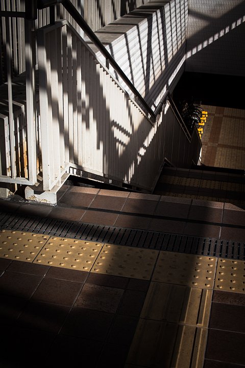 早春の駅前の光蜥蜴_d0353489_1527235.jpg