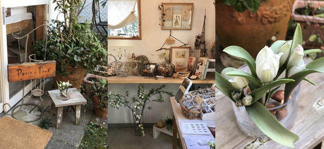 光が丘の小さなケーキ屋さん Petit Pont プティ ポン 甘辛ノオト 旧 Haru 光が丘の小さなケーキ屋さん Petit Pont プティ ポン 甘辛ノオト 旧 Haru