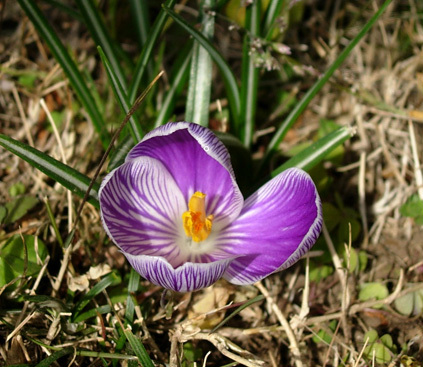 d0129295_14283760.jpg