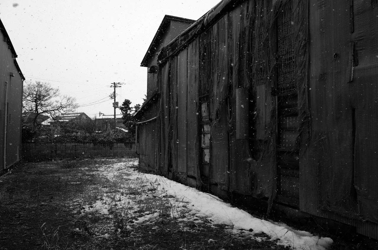 名残雪のあの街で、美味い珈琲をいただく。_c0082800_21263391.jpg