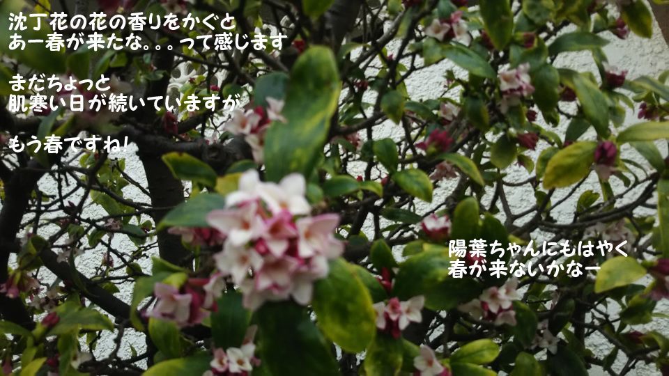 f0242002_21393122.jpg