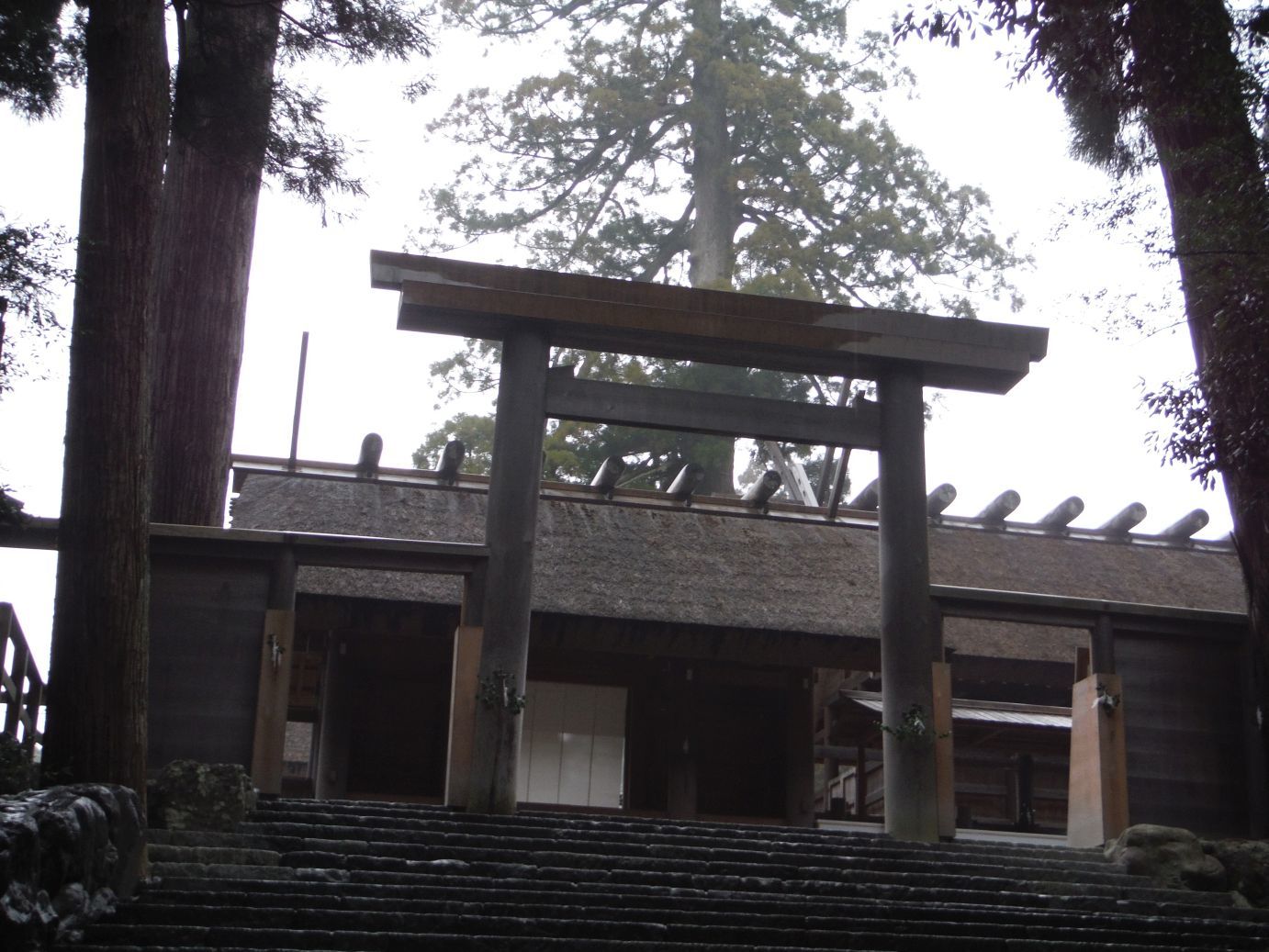 b0172805_10544449.jpg