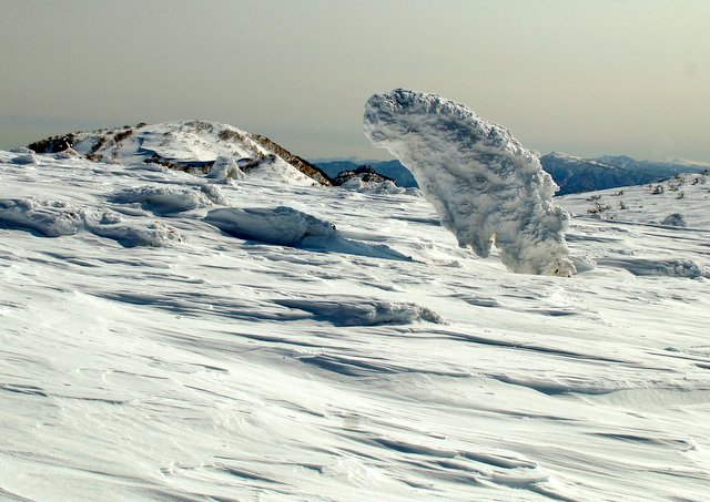 a0345007_1559587.jpg