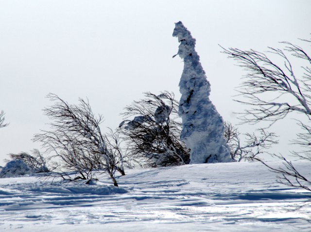 a0345007_16142474.jpg
