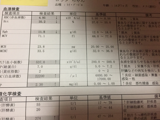 腸炎その後(2/10〜3/17)_c0023407_14575380.jpg