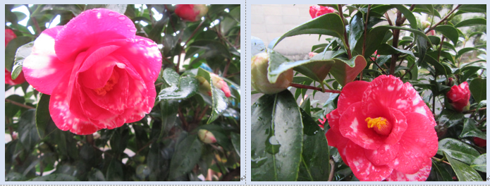 f0231709_1052548.png