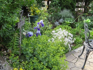 f0325309_23271149.jpg