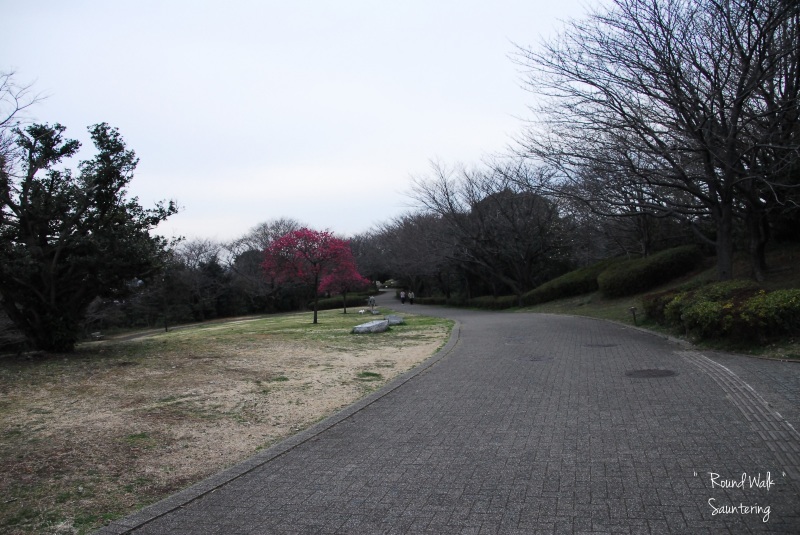 b0223512_23345814.jpg