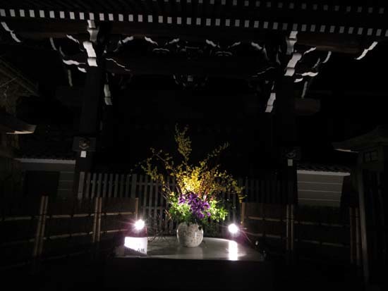 京都・東山花灯路_e0048413_22250337.jpg