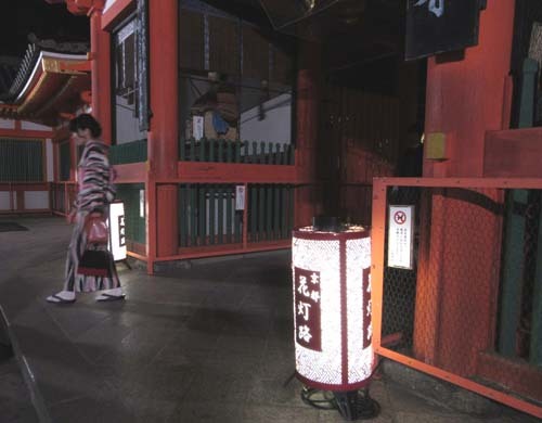 京都・東山花灯路_e0048413_22252202.jpg