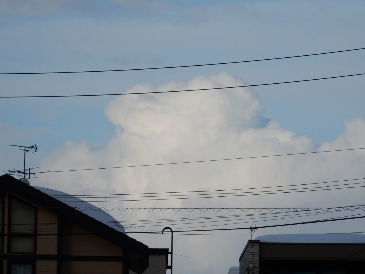 冬は終わったかな_c0025115_21095555.jpg