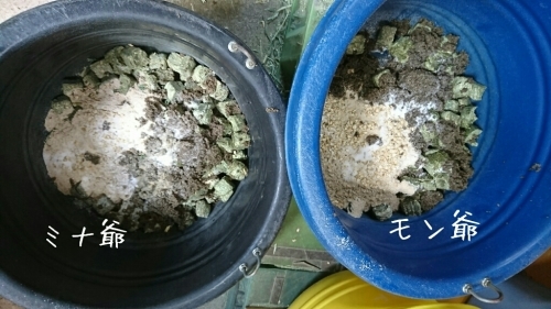 b0187620_18013200.jpg