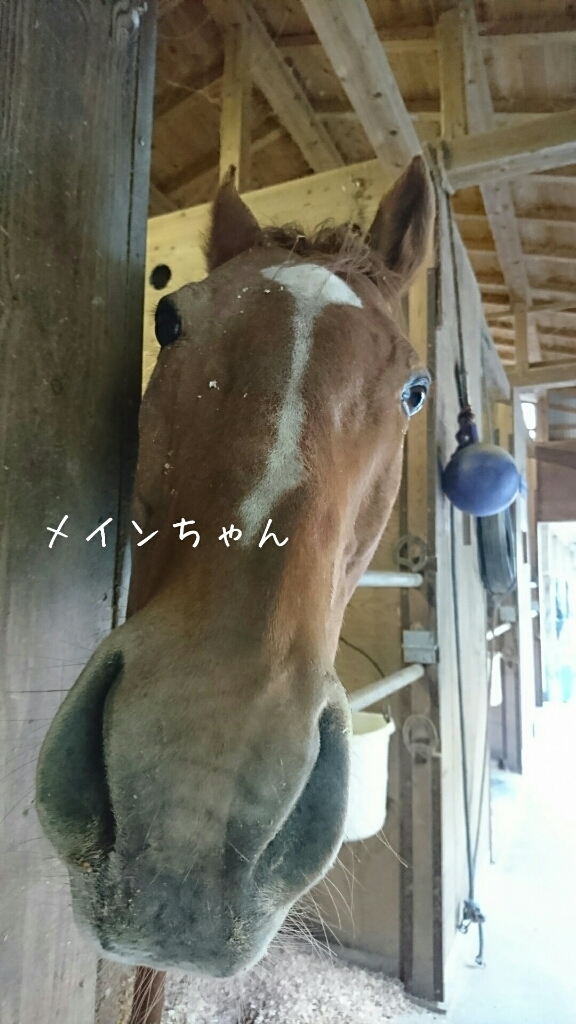 b0187620_19065736.jpg