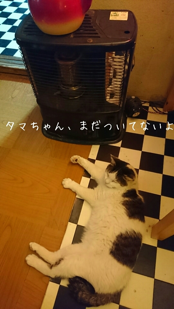 b0187620_20464149.jpg