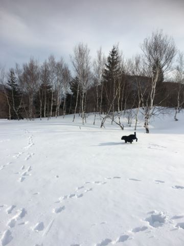 c0114121_001649.jpg