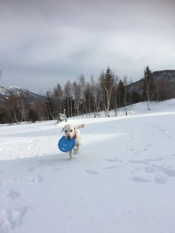 c0114121_015827.jpg