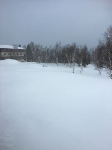 c0114121_22114436.jpg