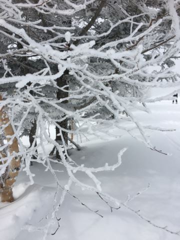 c0114121_22411130.jpg