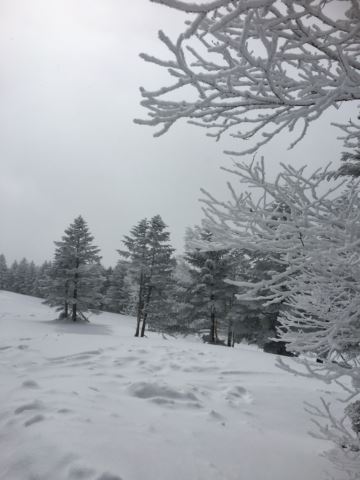 c0114121_2241316.jpg