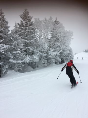 c0114121_2304510.jpg