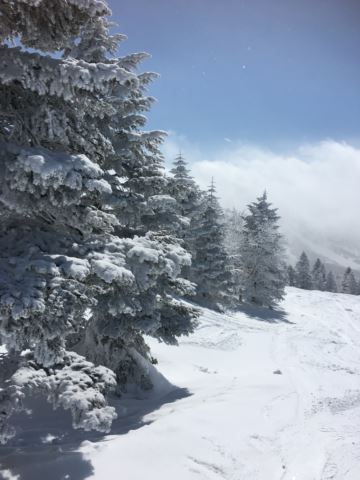 c0114121_23202980.jpg