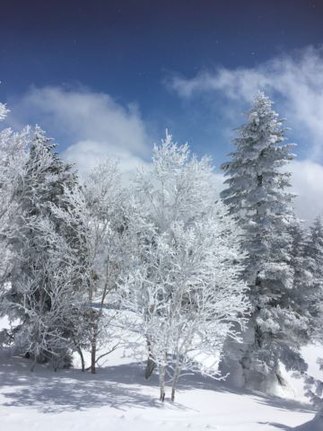 スキー旅行（４回目・・・③）志賀高原_c0114121_2320517.jpg