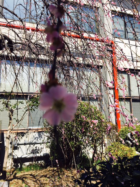 c0038722_13163811.jpg
