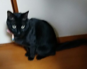 c0280322_17085455.jpg