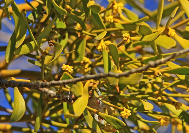 c0104227_13395871.jpg