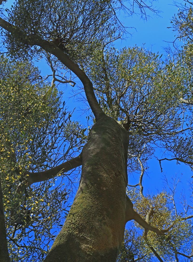 c0104227_13434570.jpg
