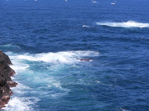 a0202528_11244.jpg