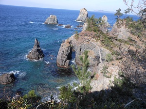 a0202528_20535.jpg